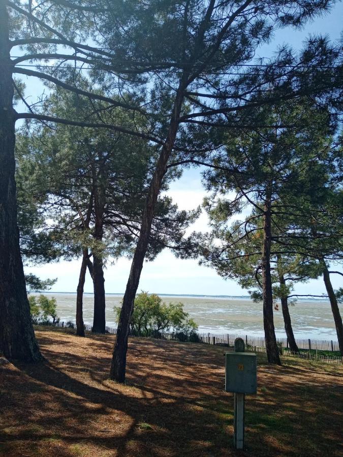 Villa Le Mauret Andernos-les-Bains Luaran gambar
